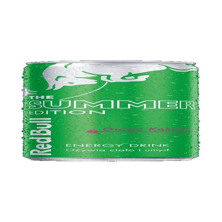 RED BULL.KAKTUS 250ML