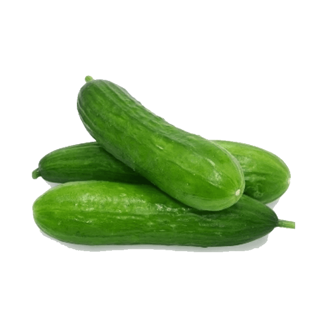 WARZYWA OGÓREK SZKLARNIOWY PL (5KG)