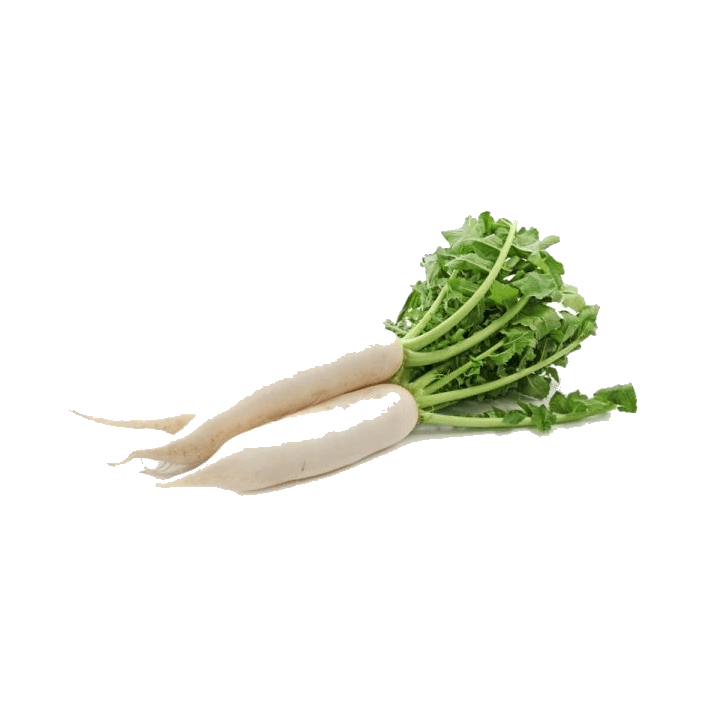 WARZYWA RZODKIEW BIAŁA PL (5 KG)
