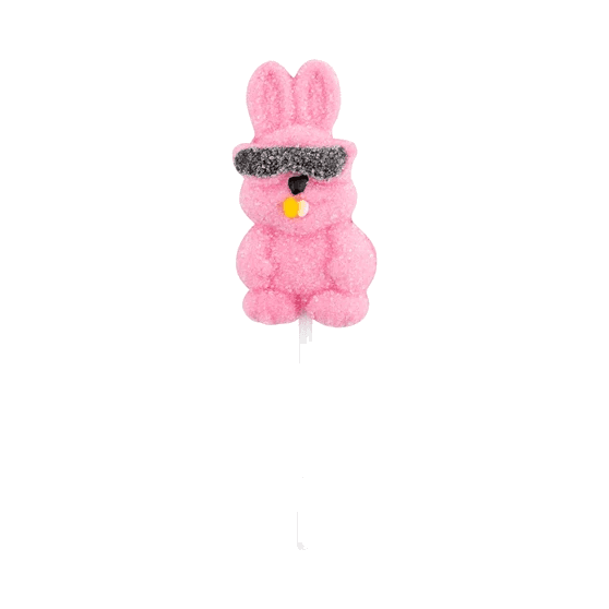 MAXCO EASTER RABBIT HARD CANDY 20G