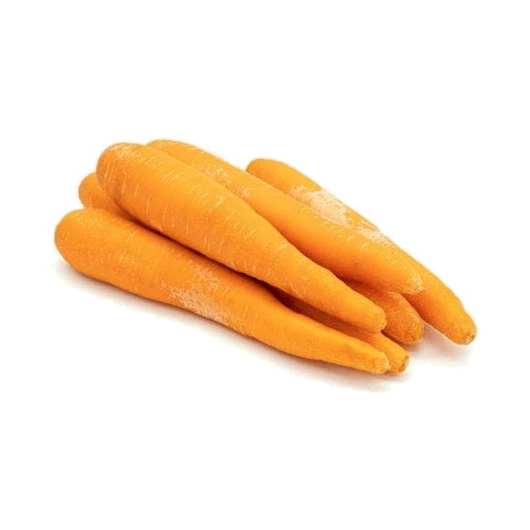WARZYWA MARCHEW EG (10 KG)