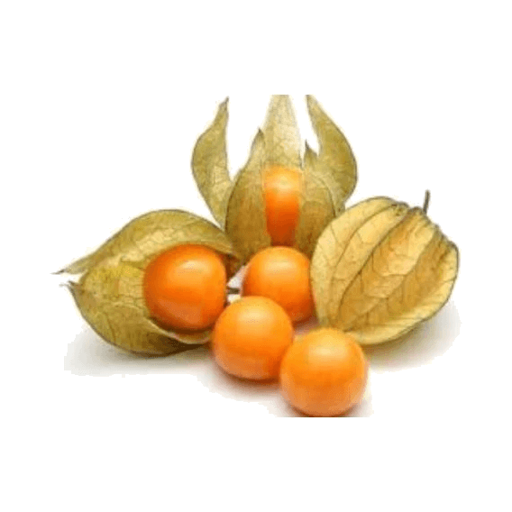 OWOCE PHYSALIS MIECHUNKA CO (100G)