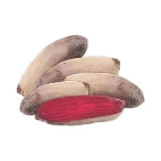WARZYWA BURAK CZERW PODŁ. PL 10KG