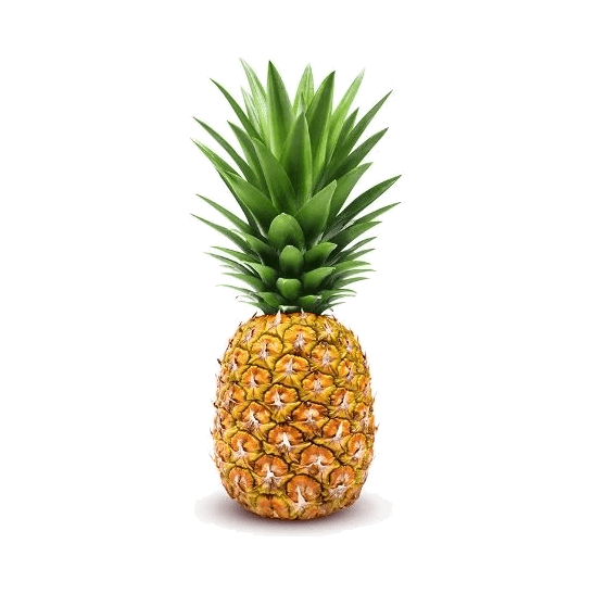 OWOCE ANANAS CR (SZT)