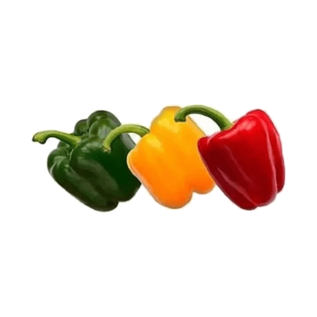 WARZYWA PAPRYKA MIX 500G (SZT) NL
