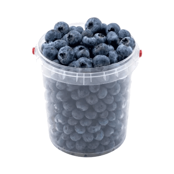 OWOCE BORÓWKA AMERYKAŃSKA  MA (125G)