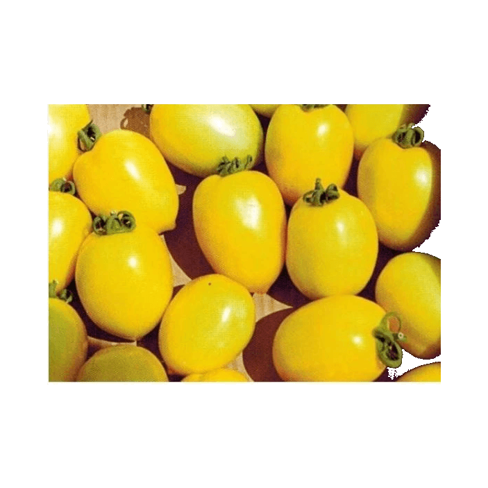 WARZYWA POMIDOR LIMA ZÓŁTY (6KG)