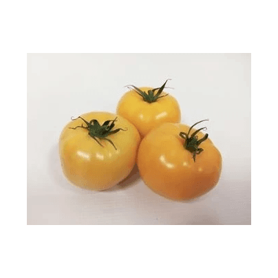 WARZYWA POMIDOR ŻÓŁTY OKRAGŁY (6KG)
