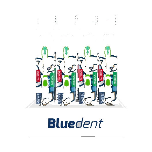BLUEDENT SZCZOT DO ZĘBÓW MIĘKKA DZ