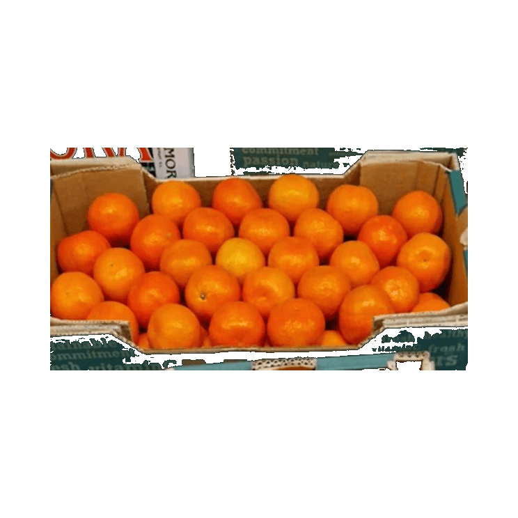OWOCE MANDARYNKA EG (5KG)