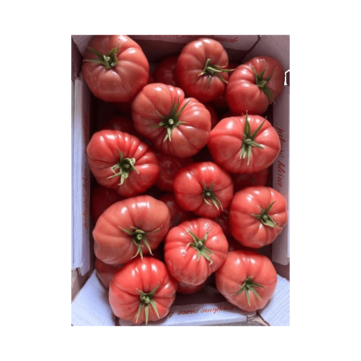 WARZYWA POMIDOR MALINOWY 4B PL (6KG