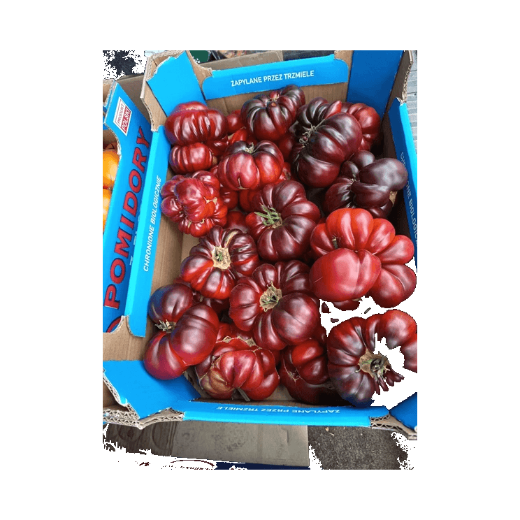 WARZYWA POMIDOR TĘCZOWY PL 6KG
